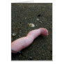 Beach pollution broken doll leg on sand cards