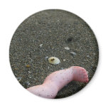 Beach pollution broken doll leg on sand fridge magnet