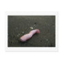 Beach pollution broken doll leg on sand post card