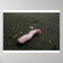 Beach pollution broken doll leg on sand print