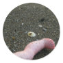 Beach pollution broken doll leg on sand round sticker