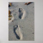 Beach Print