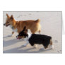 Beach Puppies Cards