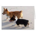 Beach Puppies cards