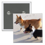 Beach Puppies Pins