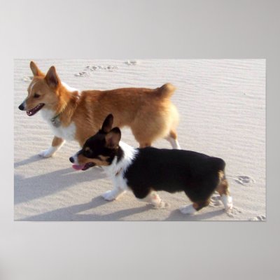 Beach Puppies Poster by Natures_Whisper