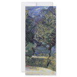Beach Road Near Gmunden In The Background, rack cards