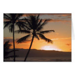 beach scene palm trees
