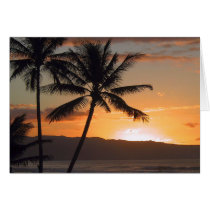 beach scene palm trees