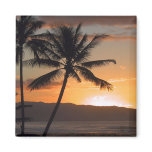 beach scene palm trees