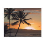 beach scene palm trees postcards