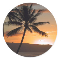 beach scene palm trees