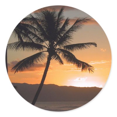 beach scene palm trees by partypassion