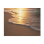 beach scene