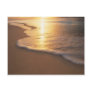 beach scene