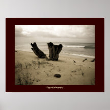 beach scene poster