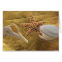 Beach - Sea Shell - Card