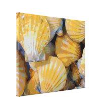 Beach Seashells Art Canvas Print