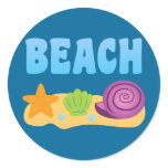 Beach Seashells