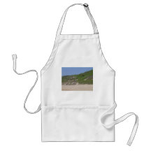Beach Stairs Apron