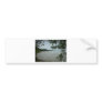 Beach Tree Frame Bumper Stickers