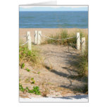 Beach walk dune roped off Florida Beach Colour Greeting Card