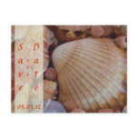 Beach Wedding Save the Date Post Cards