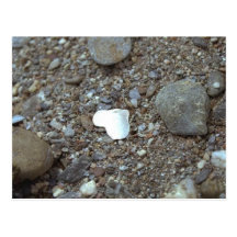 Beach Wedding Seashell Heart Post Cards