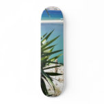 Beach With A Palm Tree In Albania In A Hot Summer Skate Board Deck