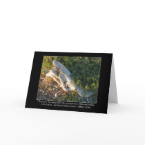 Beach Wood and Archer Quote Cards