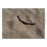 Beach wood card