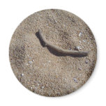 Beach wood fridge magnet