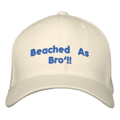Beached AsBro'!! by xraysabre