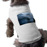 Beached Blue Pet Shirt