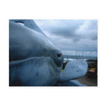 Beached Blue Postcard