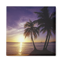 Beaches at Negril, Jamaica 3 Fridge Magnet