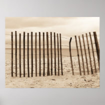 Beaches Print