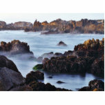 Beaches Surf Waves Photo Cut Out