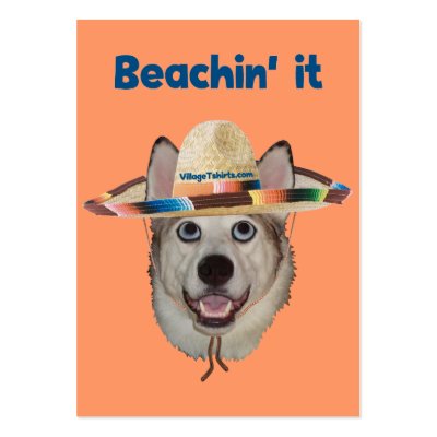 Beachin It Beach Dog by HappyDoggies