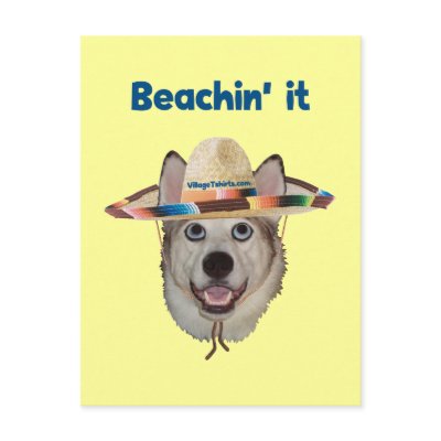 Beachin It Beach Dog by HappyDoggies