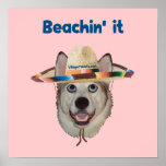Beachin It Beach Dog