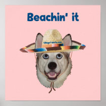 Beachin It Beach Dog