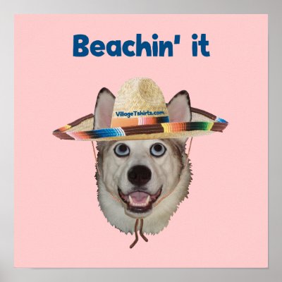 Beachin It Beach Dog by HappyDoggies
