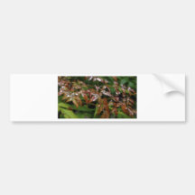 Beading Bumper Sticker