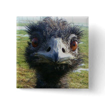 Beady Eyes EMU