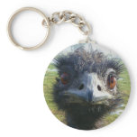 Beady Eyes EMU
