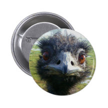 Beady Eyes EMU Pinback Button