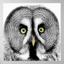 'Beady Eyes' Owl Poster