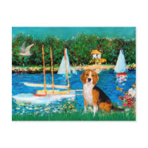 Beagle 1 - Sailboats Postcard