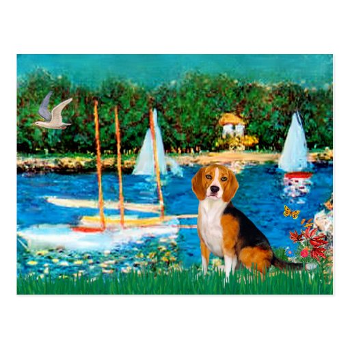 Beagle 1 - Sailboats Postcard